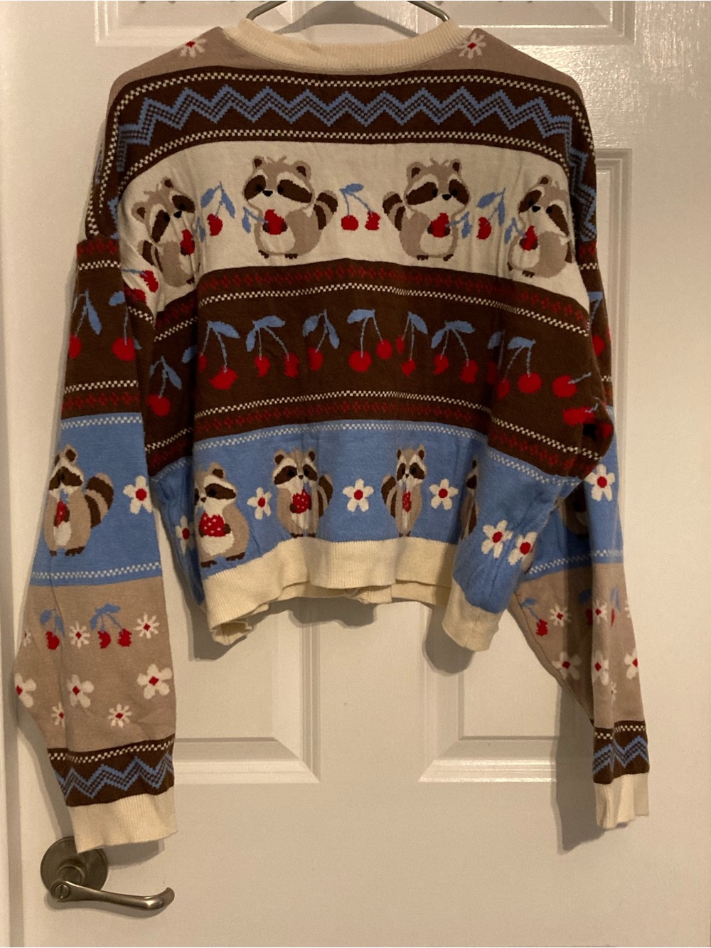 Thorn and Fable Raccoon Cropped Cardigan - Picture 2 of 4